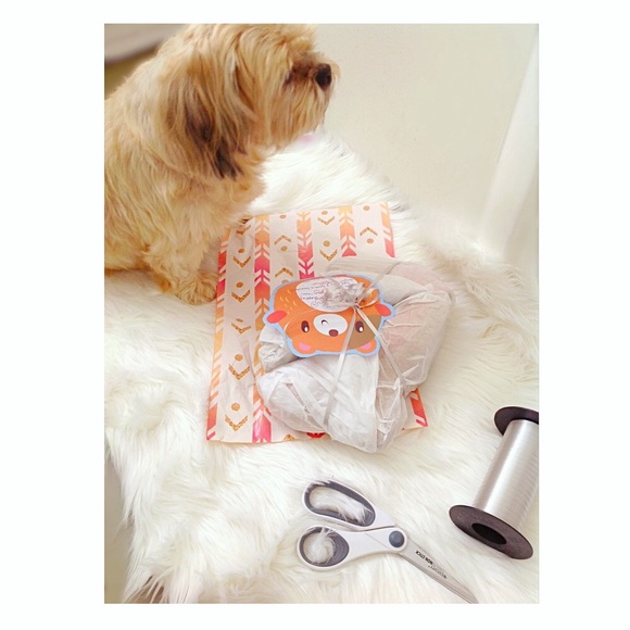 Samson Handsome is in Heaven 🐶💔 I’m Heartbroken - Picture 5 of 8